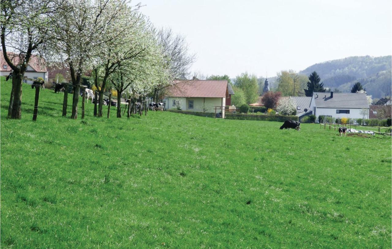 Amazing Home In Koerperich-Obersgegen With Sauna Kültér fotó